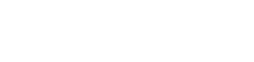 Türk Nippon Sigorta - 